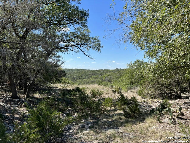 114 DEER HAVEN, HUNT, TX 78024, photo 1 of 10