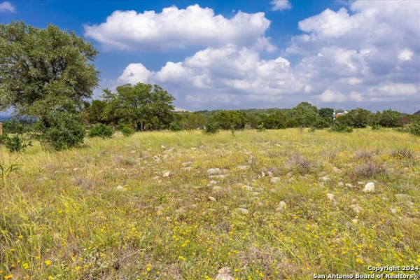 88 SABINAS RIDGE RD, BOERNE, TX 78006, photo 3 of 40