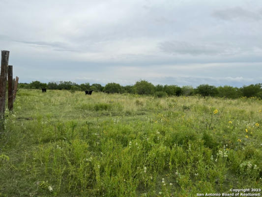 14895 WHEELER RD, ATASCOSA, TX 78002, photo 5 of 27