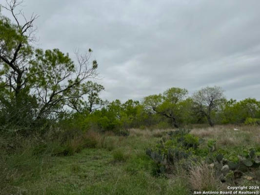 LOT 5243 & 5244 AVE. P, CHRISTINE, TX 78012, photo 4 of 4