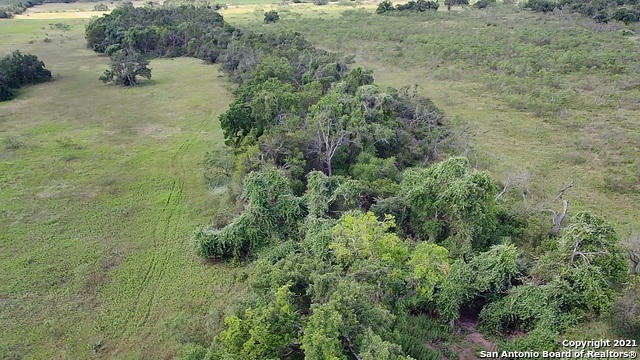 TRACT 5 FM 1323, WILLOW CITY, TX 78675, photo 2 of 21