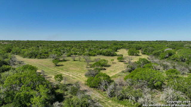 48.25 ACRES COUNTY ROAD 114, GEORGE WEST, TX 78466, photo 2 of 35