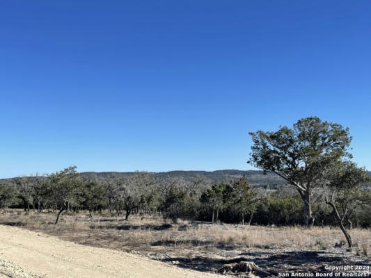 118 NINA, CAMP VERDE, TX 78010, photo 5 of 8