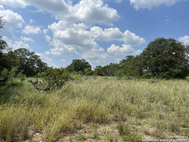 771A COUNTY ROAD 660, DEVINE, TX 78016, photo 1 of 15