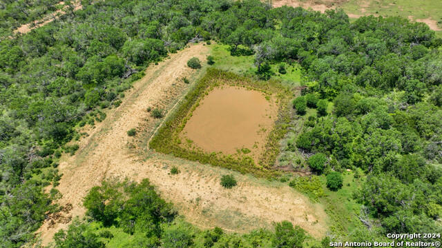 000 BLUNTZER RD, JOURDANTON, TX 78026, photo 4 of 9