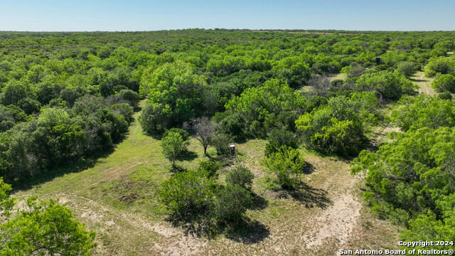48.25 ACRES COUNTY ROAD 114, GEORGE WEST, TX 78466, photo 1 of 35