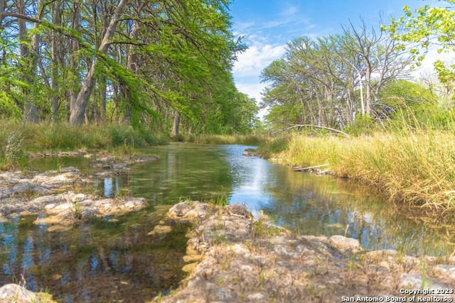 950 RIVER RD, UTOPIA, TX 78884, photo 1 of 21