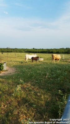 13857 US HIGHWAY 87 S LOT 6, ADKINS, TX 78101, photo 3 of 24