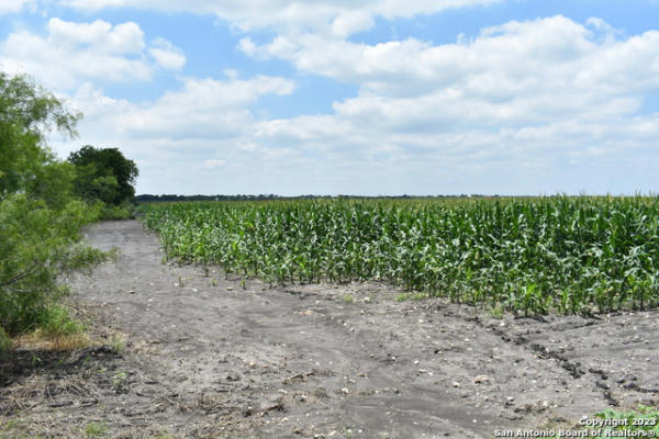 48.973 ACRES CO RD 583, LACOSTE, TX 78039 - Image 1