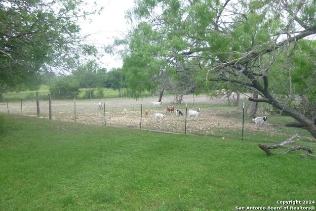 3503 CREEKSIDE DR, ST HEDWIG, TX 78152, photo 1 of 25