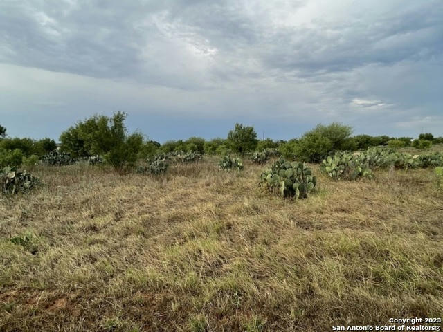 TBD CR 3435 LOT 4, PEARSALL, TX 78061, photo 1 of 10