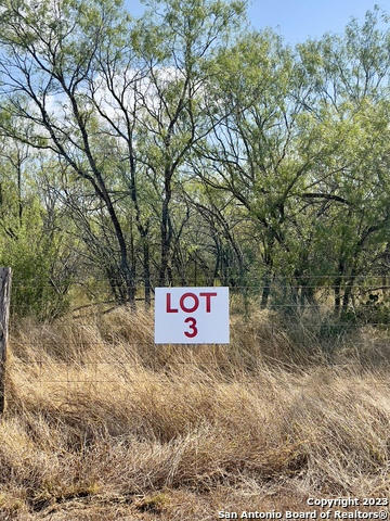 TBD LOT 3 STATE HIGHWAY 80, NIXON, TX 78140, photo 1 of 10