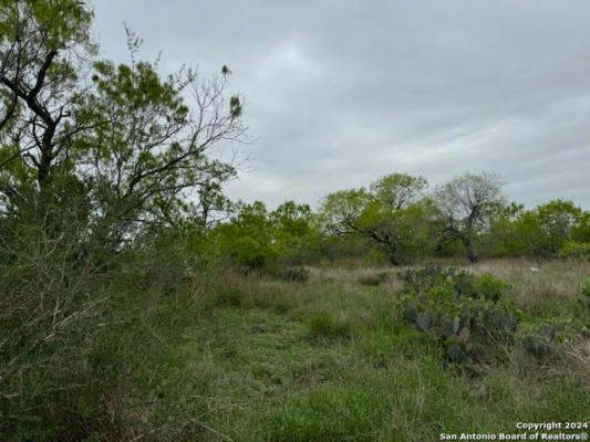 LOT 5241 & 5242 AVE. P, CHRISTINE, TX 78012, photo 3 of 4