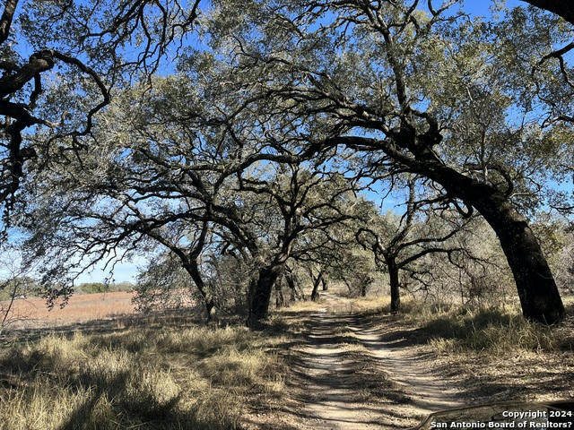 10392 W FM 476, POTEET, TX 78065, photo 1 of 15