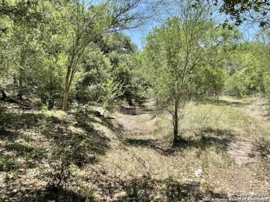 TRACT 4 W KING LANE, BEEVILLE, TX 78012, photo 5 of 12