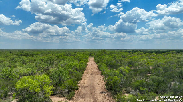 3 COUNTY ROAD 340, JOURDANTON, TX 78026 - Image 1