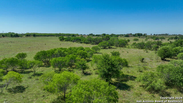 2690 COUNTY ROAD 442, STOCKDALE, TX 78160, photo 5 of 19