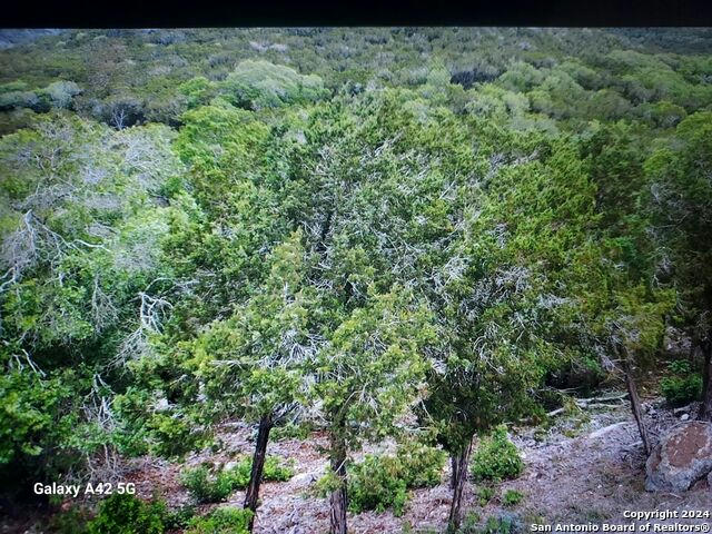 LOT 315 PRIVATE ROAD 1745, MICO, TX 78056, photo 1 of 8