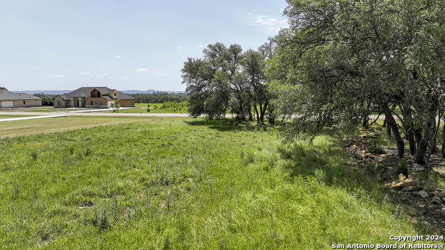 463 HORSESHOE FLS, BANDERA, TX 78003, photo 4 of 18