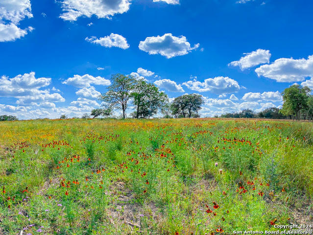 LOT 43 CREEKSIDE AT CAMP VERDE, CENTER POINT, TX 78010, photo 1 of 18