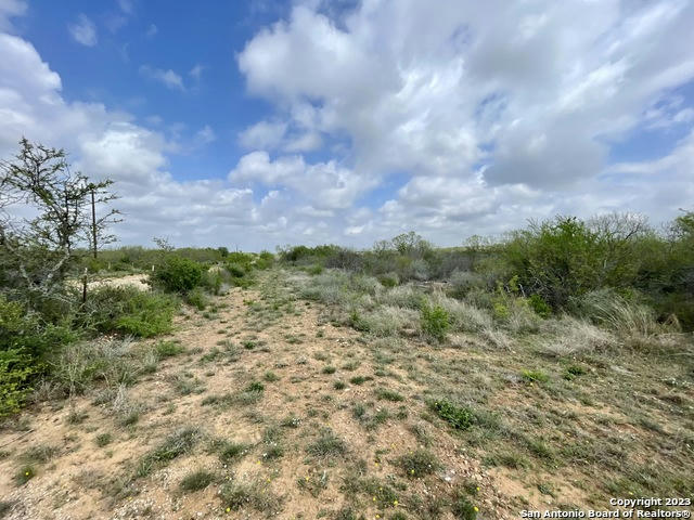 TRACT 2 CR 1670, MOORE, TX 78057, photo 1 of 8