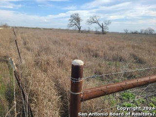 21069 FM 1303 LOT 1, ELMENDORF, TX 78112, photo 5 of 14