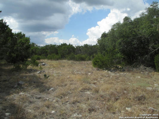 18 LEDGESTONE PL, BOERNE, TX 78006, photo 2 of 24