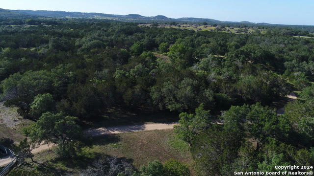 767 ROLLING HILLS RD, BLANCO, TX 78606, photo 3 of 9