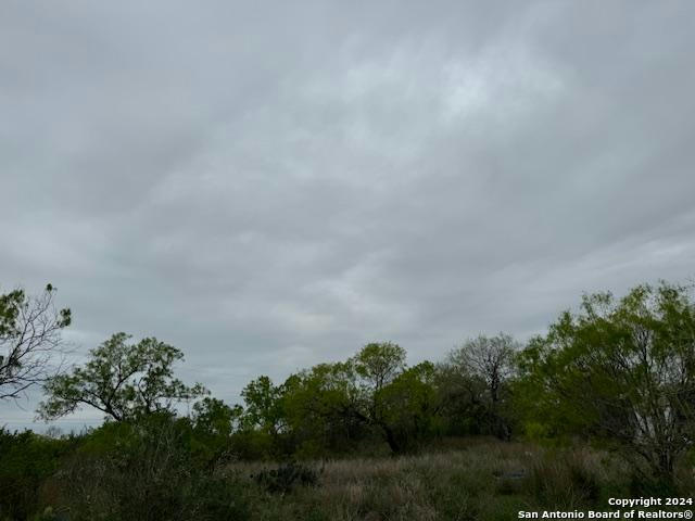 LOT 5241 & 5242 AVE. P, CHRISTINE, TX 78012, photo 1 of 4