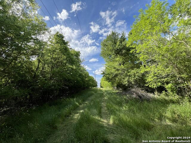 LULING, TEXAS LULING TEXAS RANCH, LULING, TX 78648, photo 1 of 39