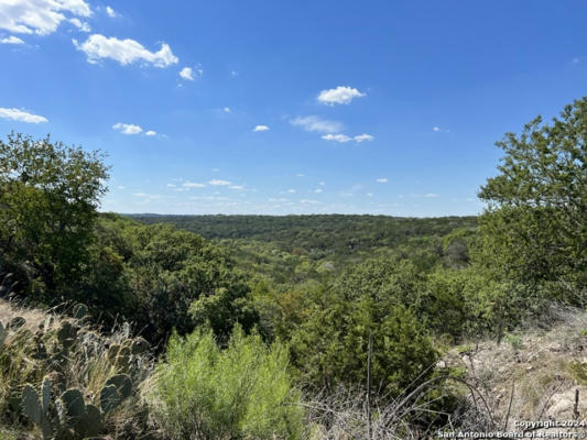 114 DEER HAVEN, HUNT, TX 78024, photo 3 of 10