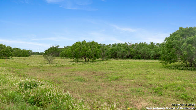 1467 COUNTY ROAD 120 UNIT B, FLORESVILLE, TX 78114, photo 2 of 8