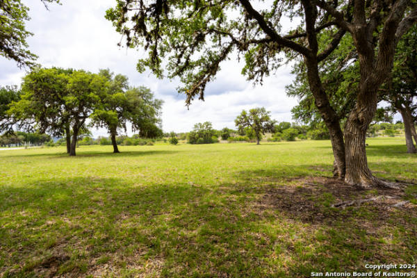 LOT 20 RINGTAIL COURT, PIPE CREEK, TX 78063, photo 4 of 46