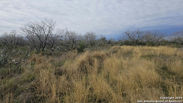 949 W AVE K LOTS 3283-3285, CHRISTINE, TX 78012, photo 1 of 7