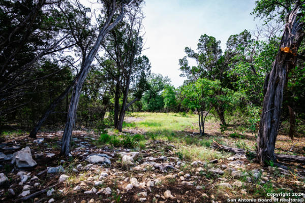 6 MONTEREY TRL, BOERNE, TX 78006 - Image 1