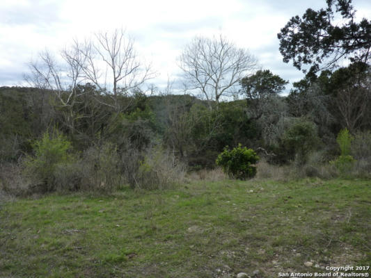 17032 SCENIC LOOP RD, HELOTES, TX 78023, photo 2 of 8