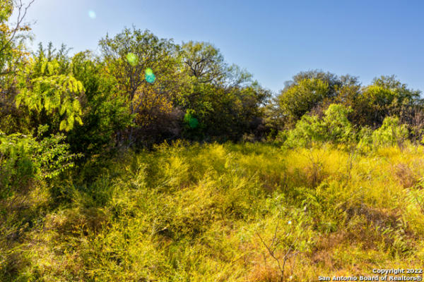 COUNTY ROAD 661, DEVINE, TX 78016, photo 5 of 12