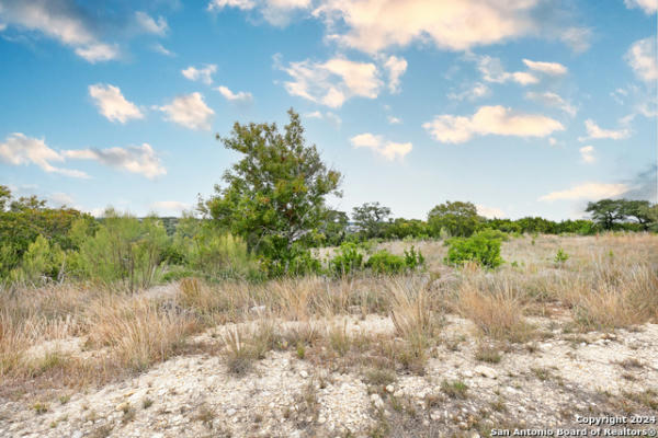 10727 NINA RDG, SAN ANTONIO, TX 78255, photo 2 of 29