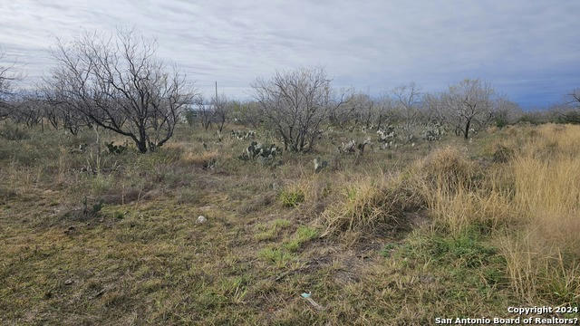 949 W AVE K LOTS 3283-3285, CHRISTINE, TX 78012, photo 2 of 7