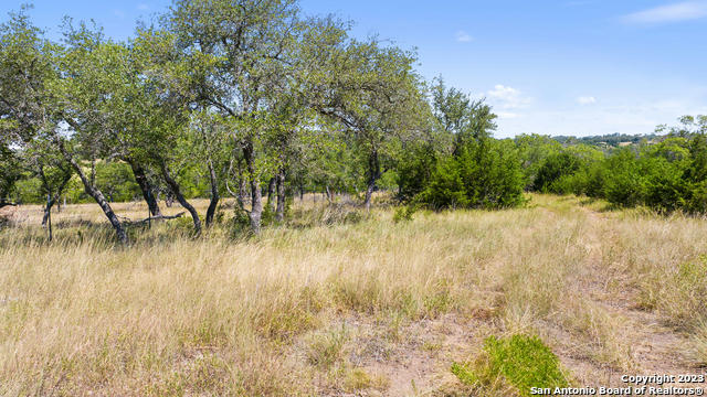 TRACT 20 RANCH ROAD 1623, BLANCO, TX 78671, photo 5 of 8