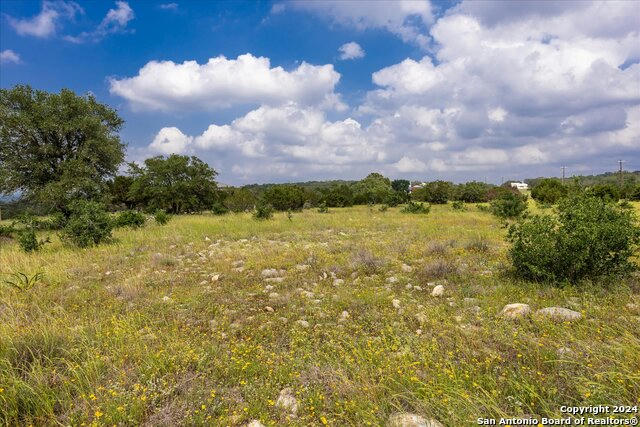 88 SABINAS RIDGE RD, BOERNE, TX 78006, photo 1 of 40