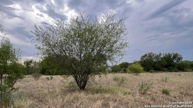 TBD CR 3415 LOT 10, PEARSALL, TX 78061, photo 5 of 16