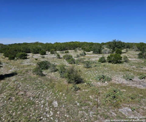 1499 PRIVATE ROAD 238, HONDO, TX 78861, photo 4 of 11