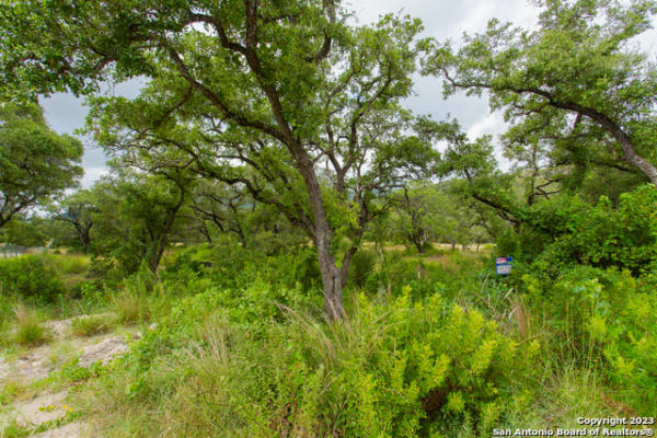 LOT 53 CLEAR WATER CYN, HELOTES, TX 78023, photo 3 of 23