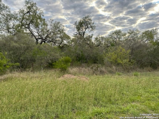 000 CHRISTINE RD, JOURDANTON, TX 78026, photo 2 of 11