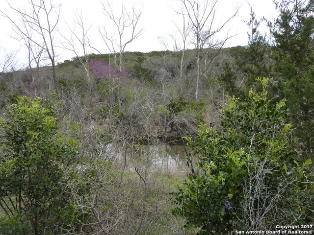 17032 SCENIC LOOP RD, HELOTES, TX 78023, photo 1 of 8