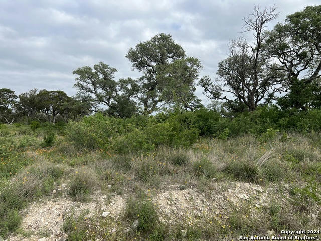 TBD PR 2771, MICO, TX 78056, photo 1 of 32