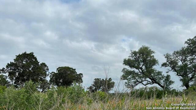 TBD PR 2771, MICO, TX 78056, photo 2 of 32