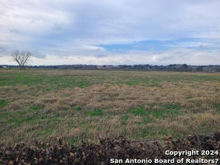 21069 FM 1303 LOT 1, ELMENDORF, TX 78112, photo 4 of 14