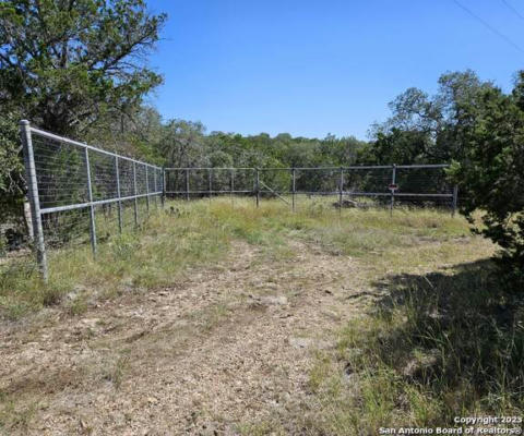 1499 PRIVATE ROAD 238, HONDO, TX 78861, photo 3 of 11